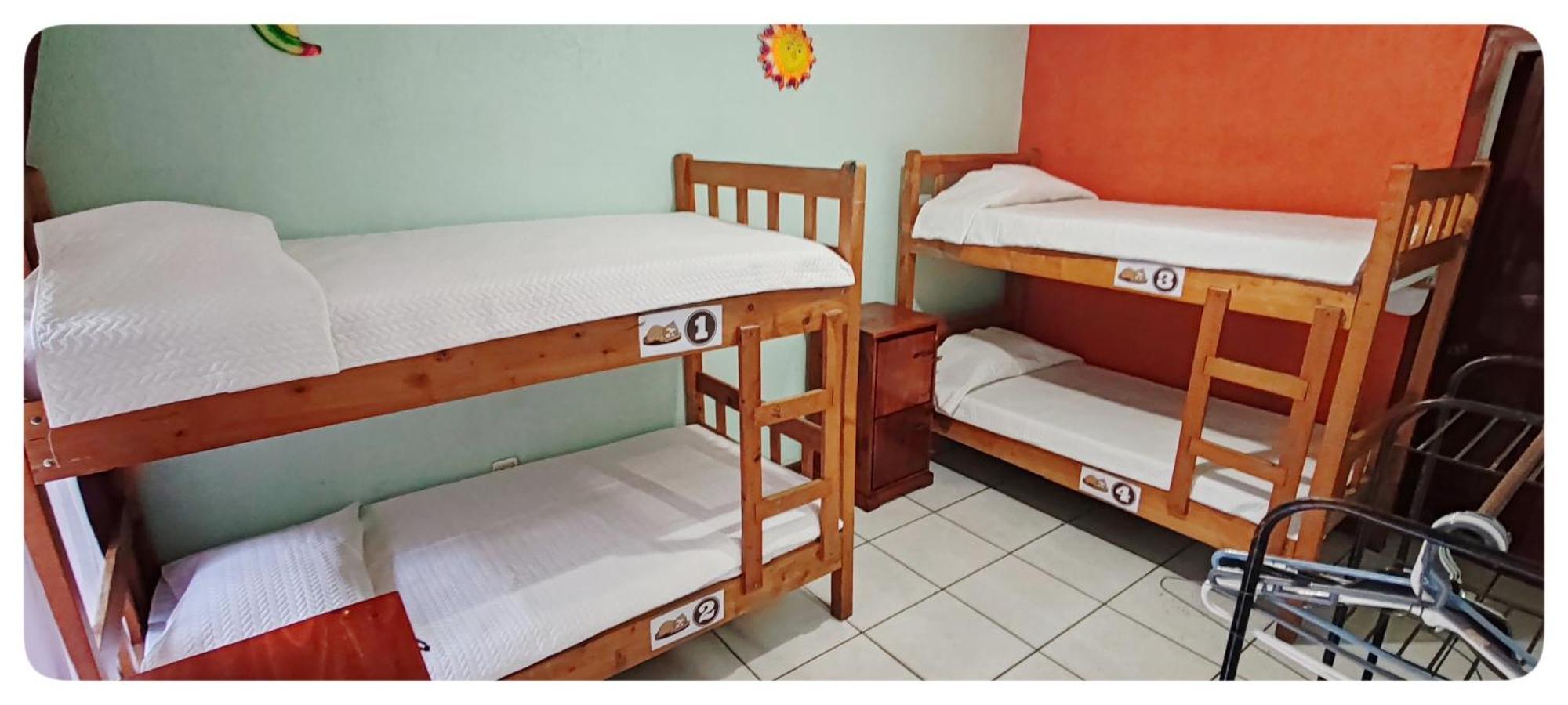 Hotel & Hostel Sloth Backpackers Monteverde Esterno foto